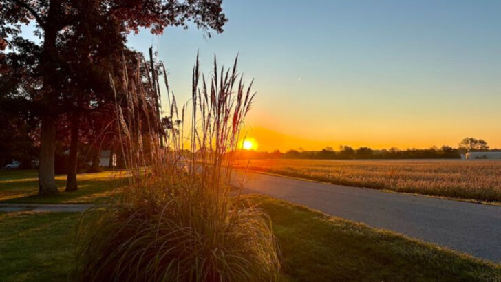 10 Ohio Bike Trails That Make Cycling Easy For Beginners