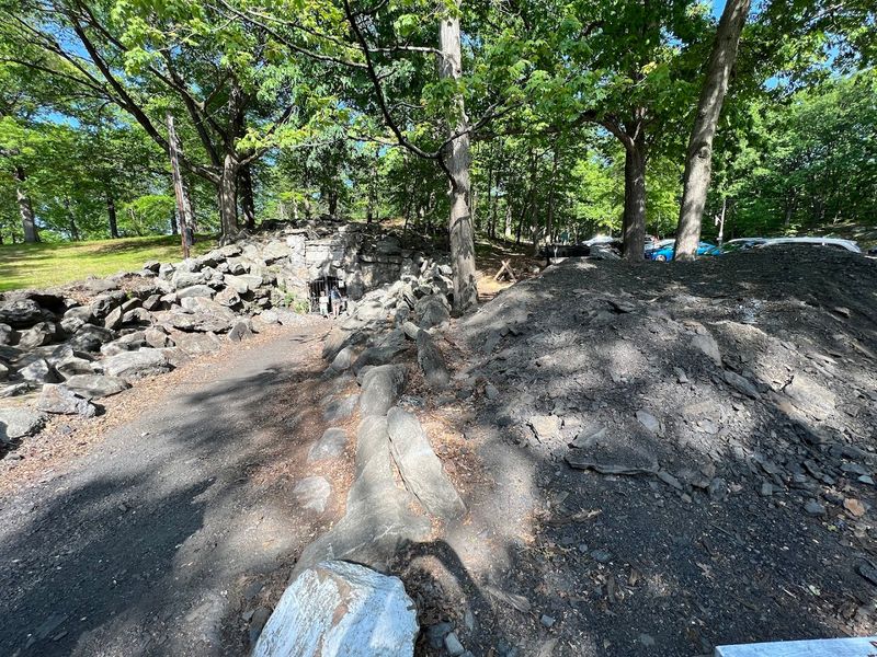 Phoenixville Mineral Area 