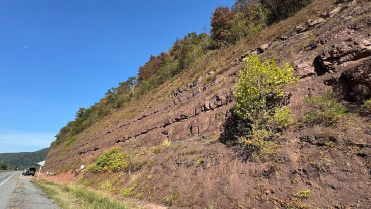 10 Pennsylvania Fossil Hunting Sites That Take You Millions Of Years Back In Time