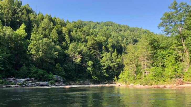 10 South Carolina Swimming Holes That Are Perfect for Cooling Off This Summer
