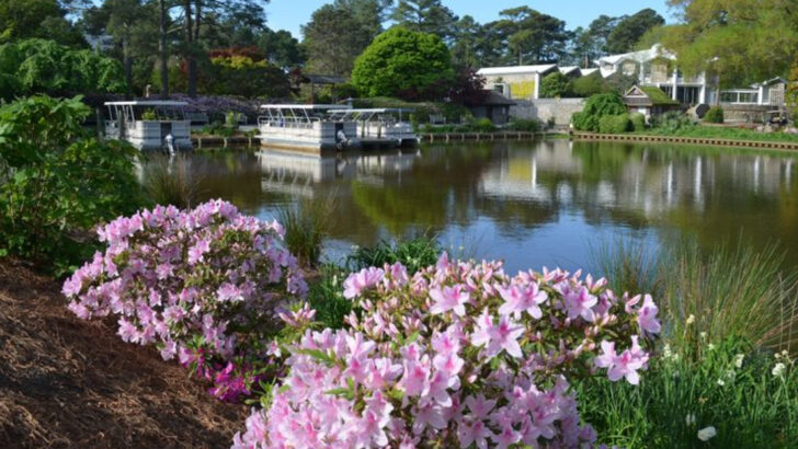 10 Virginia Date Ideas That Feel Thoughtful Without Spending A Fortune