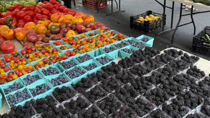 10 Virginia Markets Filled With The Freshest Fruit You’ll Find Anywhere