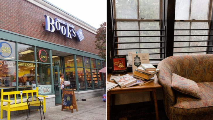 11 Massachusetts Bookstores We’d Happily Visit Again Just For The Atmosphere