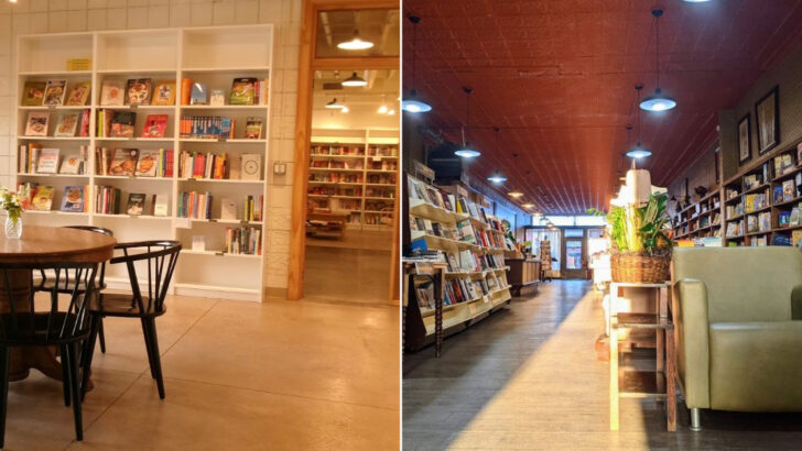 11 Michigan Bookstores Where We Found Great Coffee And Even Better Stories
