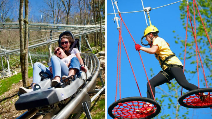 11 North Carolina Adventure Parks That Are Pure Summer Fun