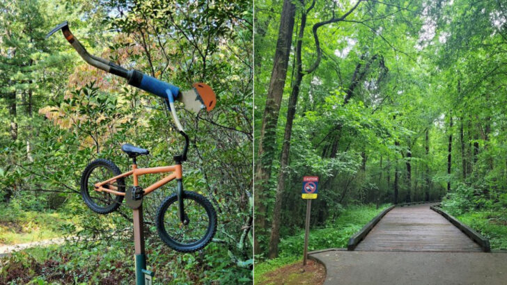 11 North Carolina Bike Trails Perfect For Riders Just Getting Started