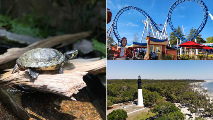 11 South Carolina Day Trips With Kids That Everyone in the Car Will Actually Enjoy