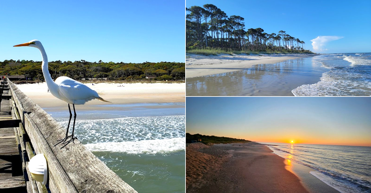11 South Carolina Swimming Spots That Helped Us Beat The August Heat