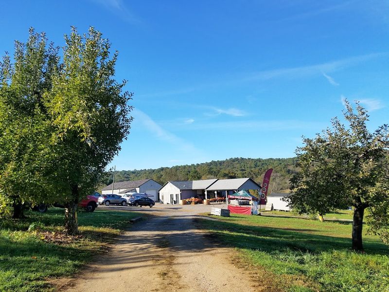 Stribling Orchard - Markham, Fauquier County,
