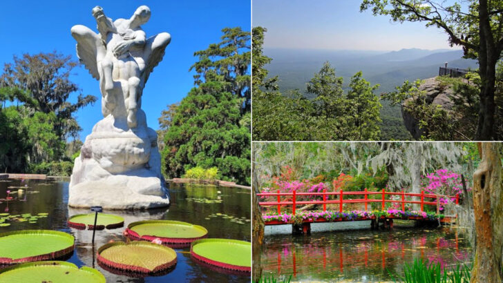 12 Bucket List Destinations That Show Off the Very Best of South Carolina