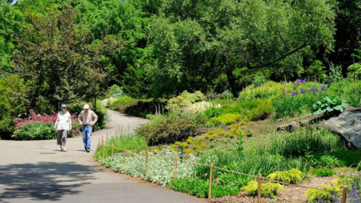 12 Budget Friendly New York Date Ideas That Couples Can’t Stop Recommending
