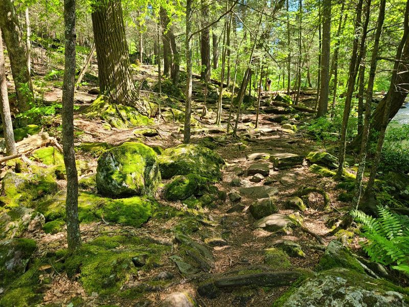 Devil's Hopyard State Park - East Haddam, Middlesex County