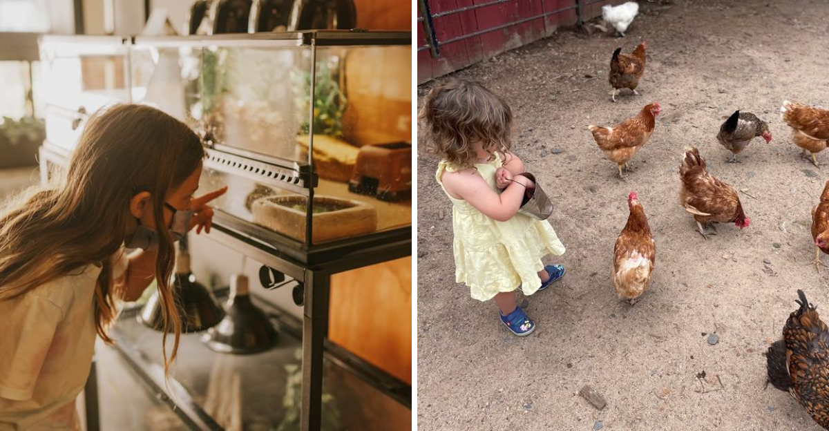 12 Connecticut Animal Attractions That Kids Never Want To Leave