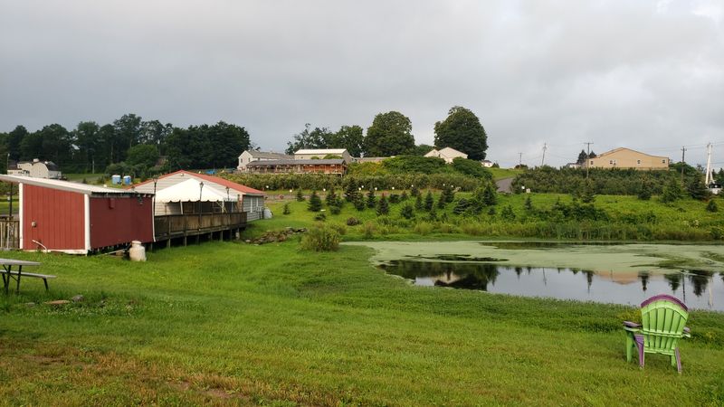 Rose's Berry Farm - South Glastonbury, Hartford County