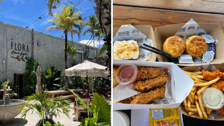 12 Florida Vegan And Vegetarian Restaurants Food Lovers Can’t Stop Talking About