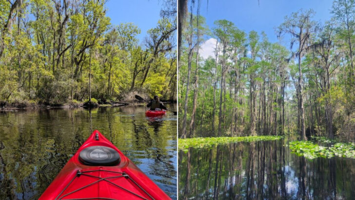 12 Georgia Rivers And Waterways Perfect For Your Next Kayaking Adventure