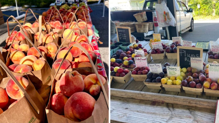12 Michigan Markets Worth Visiting For Fresh Seasonal Fruit