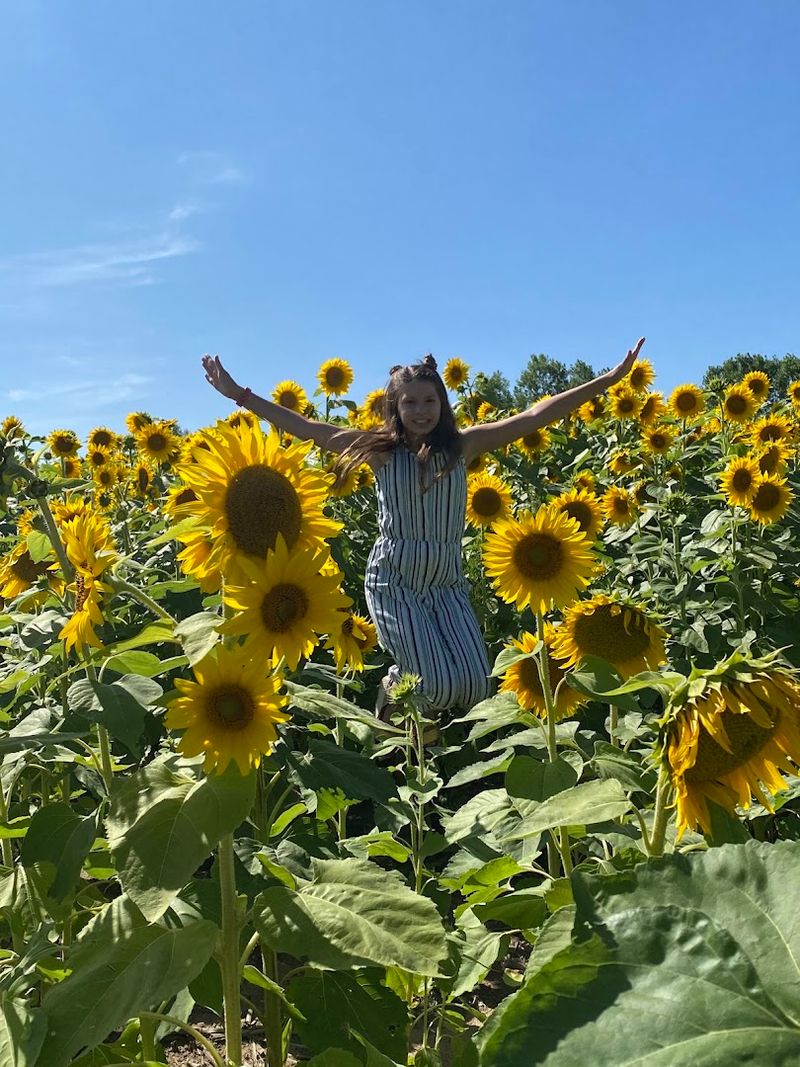 Schell Family Farm