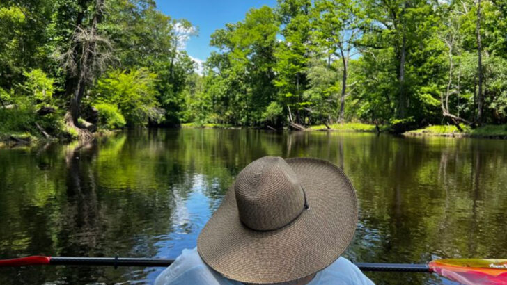 12 North Carolina Canoeing Destinations That Showcase The State&rsquo;s Wild Beauty