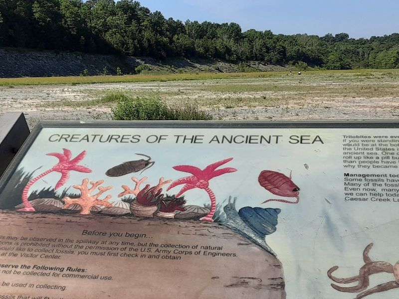 Caesar Creek Spillway