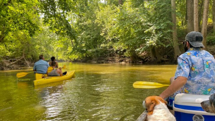 12 Ohio Rivers And Lakes Where Kayaking Is Every Bit As Fun As People Say