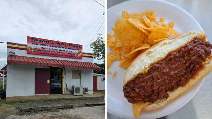 12 South Carolina Restaurants Serving Chili Dogs Locals Keep Coming Back For