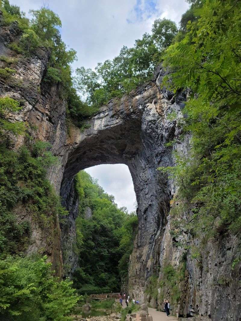Natural Bridge State Park - Natural Bridge