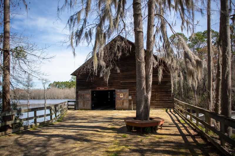 George L. Smith State Park &mdash; Twin City