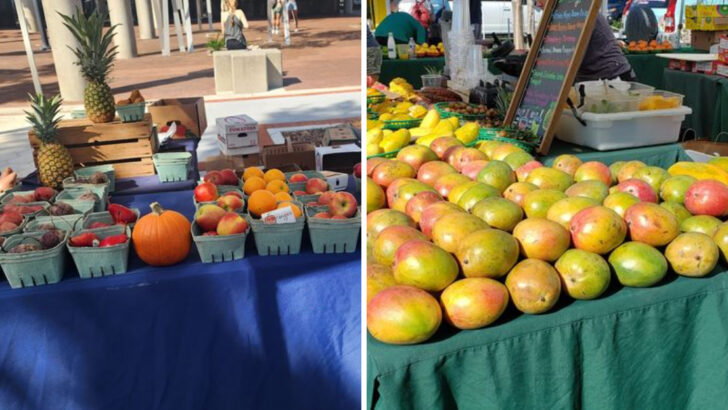 13 Florida Farmers Markets Overflowing With Seasonal Fruit