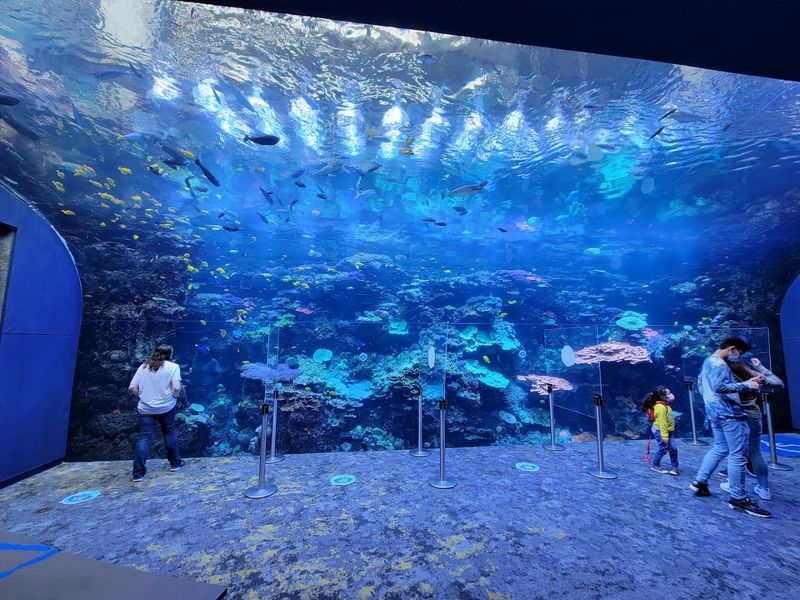 Georgia Aquarium (Atlanta)