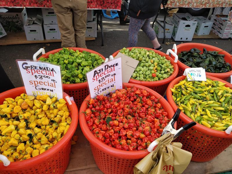 Union Square Greenmarket 