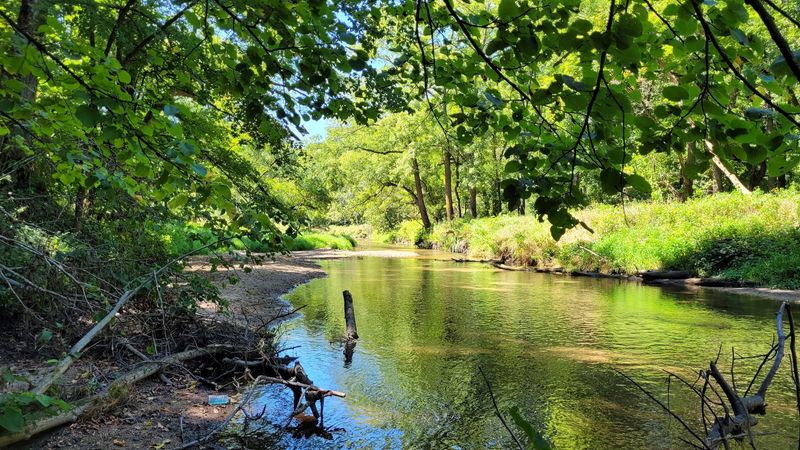 Backbone State Park (Dundee)