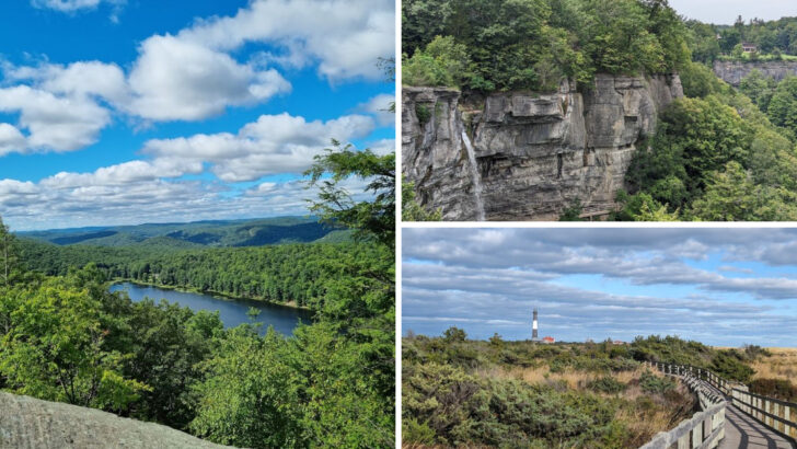 13 Peaceful Parks In New York That Feel Miles Away From The Crowds