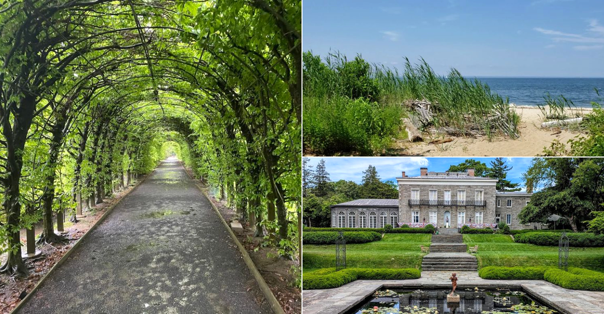 13 Quiet Places in New York That Feel a World Away From the Crowds