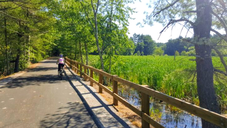 14 Massachusetts Bike Trails That Are Ideal For New Cyclists