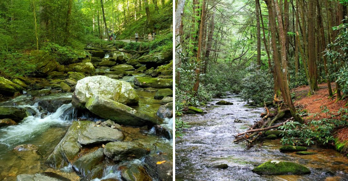 15 Georgia Trails Perfect for Waterfalls and Fresh Air