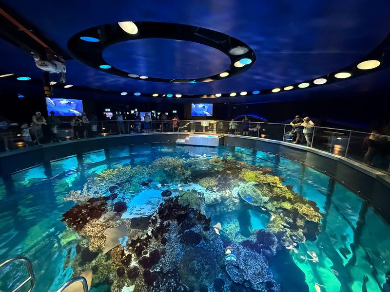 New England Aquarium (Boston)