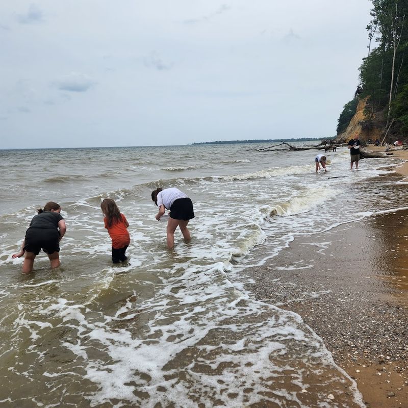 Westmoreland State Park (Fossil Beach)