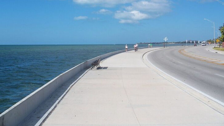 A 338-Mile Drive in Florida That Delivers One of the State&rsquo;s Most Memorable Experiences