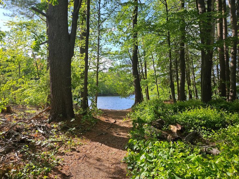 Woodland Trails With Reservoir Views