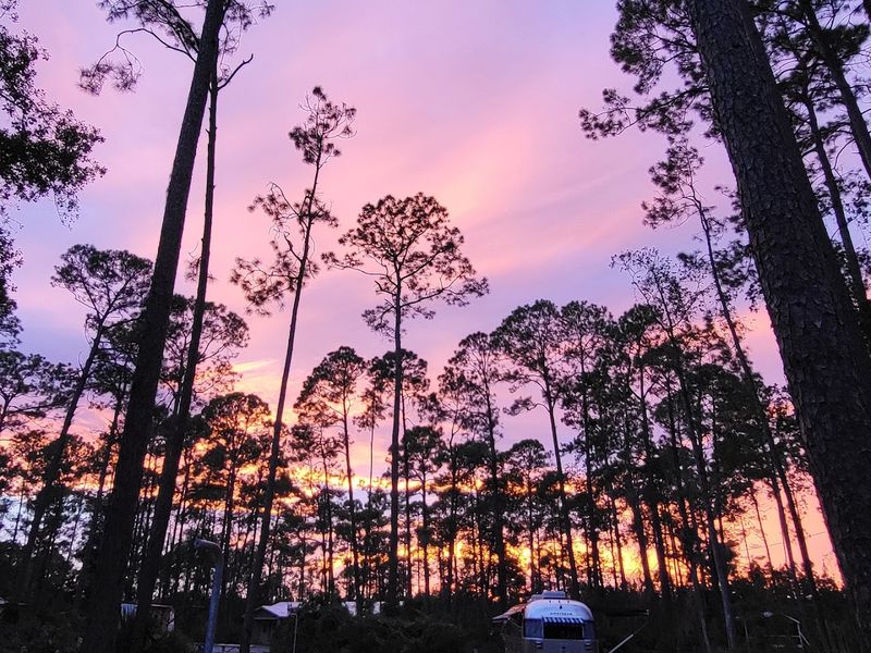 Why The Night Sky Is A Headliner
