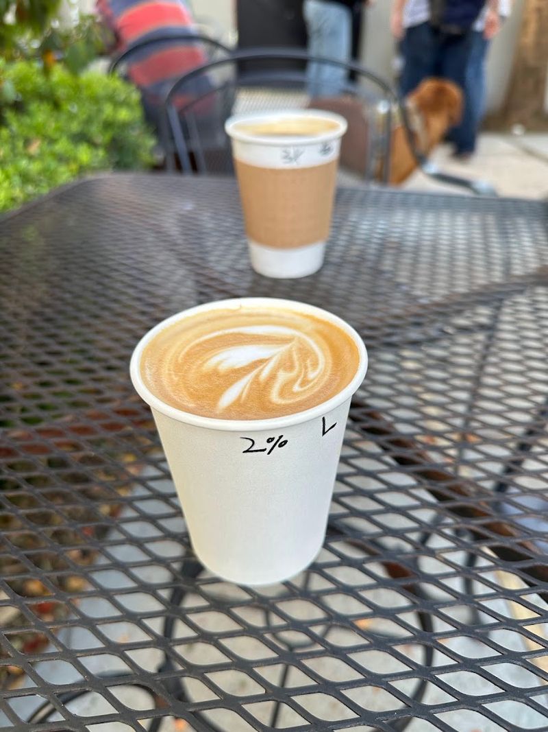 Freshly Roasted Coffee Is the Morning Star