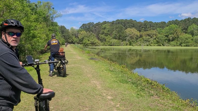 The Wildlife Drive That Takes You Deep Into Nature's Backyard