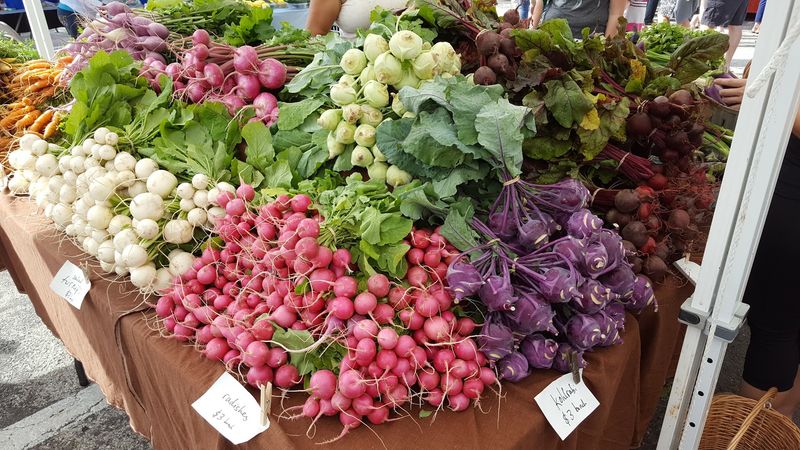 Fresh Florida Produce Straight From Local Farms