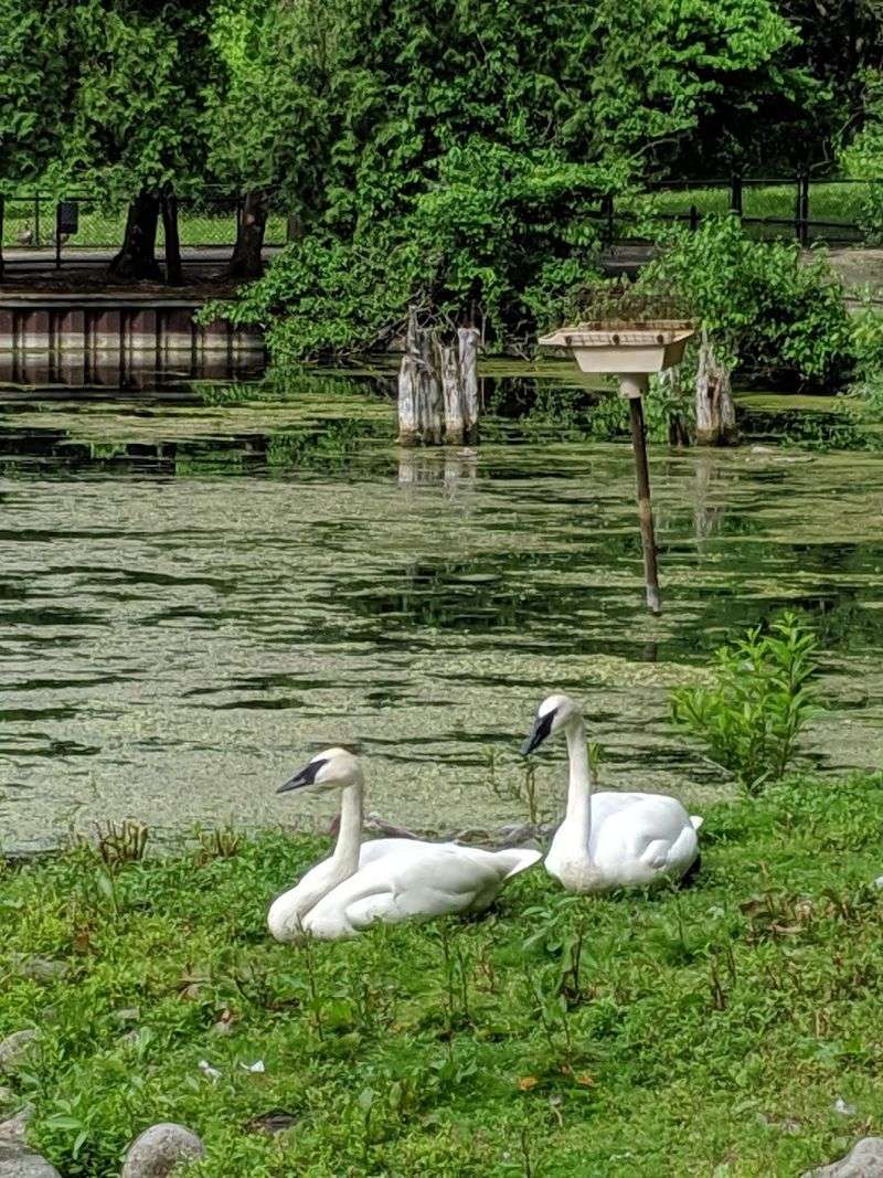 Planning A Visit And Why It Is Worth It