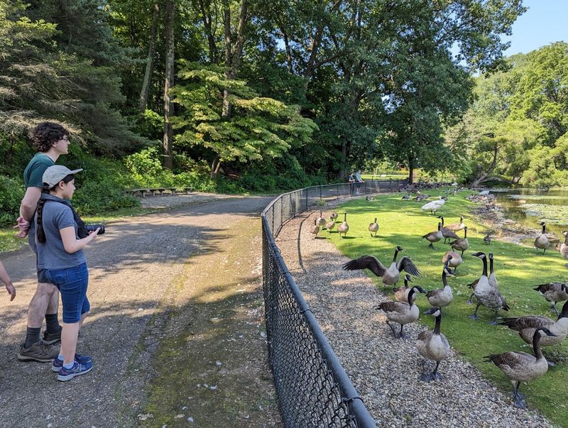 A Family Outing That Stays Memorable