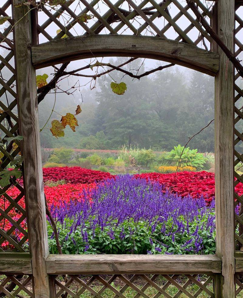Why 2,000 Blooms Feel So Big