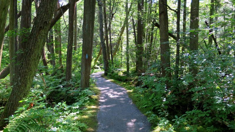 Trails for Beginners, Regulars, and Curious Explorers