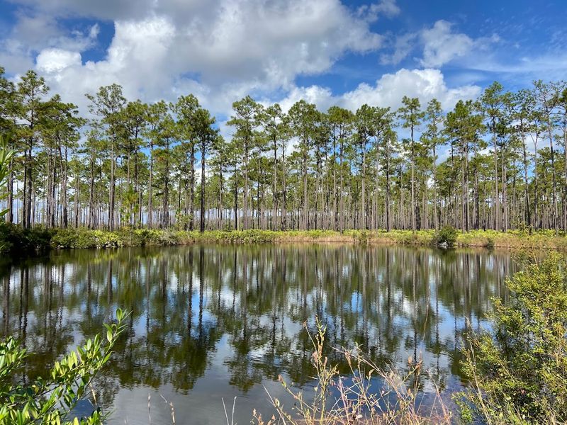 Why Photographers Love This Trail