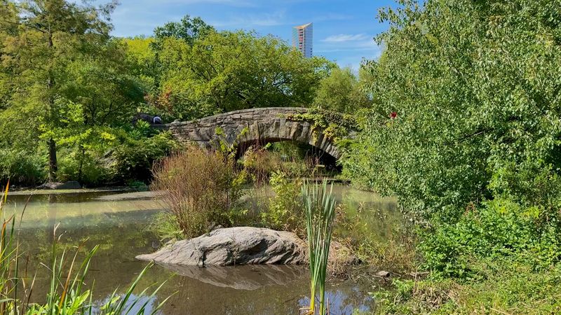Gapstow Bridge Creates An Unforgettable Manhattan Moment